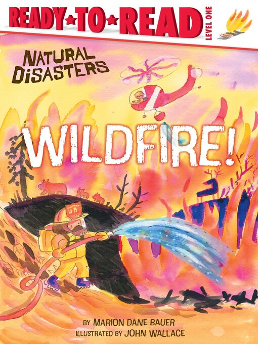 Cover image for Wildfire!